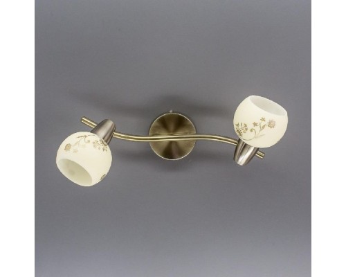 Спот Соната CL520523 Citilux