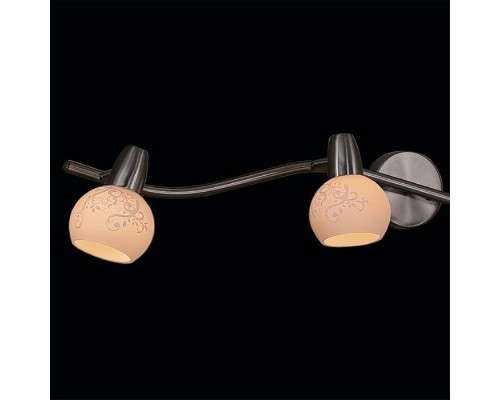 Спот Соната CL520541 Citilux