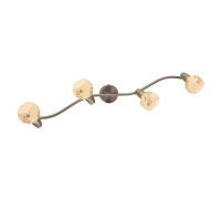 Спот Соната CL520543 Citilux