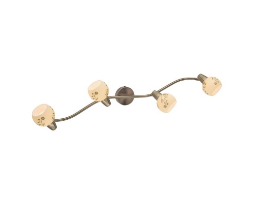 Спот Соната CL520543 Citilux