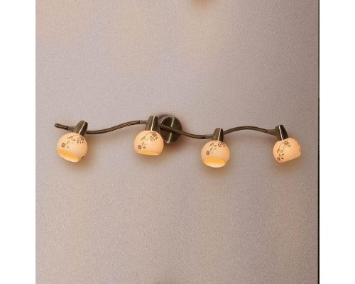 Спот Соната CL520543 Citilux