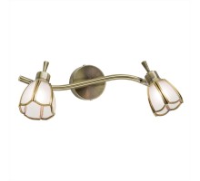 Спот Альтен CL522521 Citilux