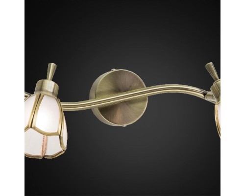 Спот Альтен CL522521 Citilux