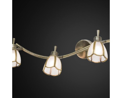 Спот Альтен CL522541 Citilux