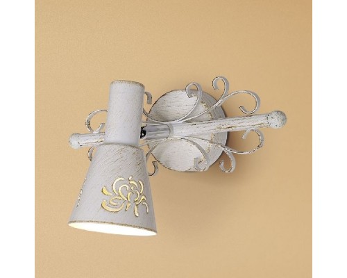 Спот Дункан CL529512 Citilux