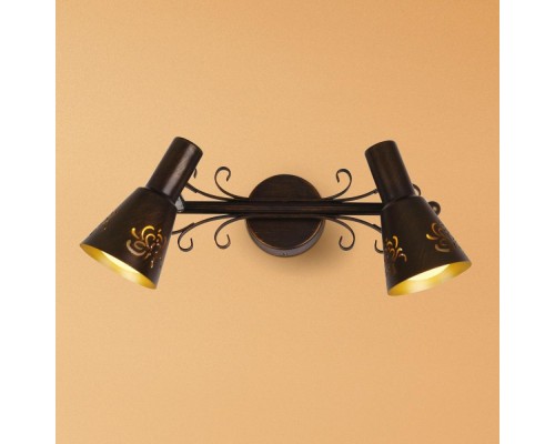 Спот Дункан CL529521 Citilux