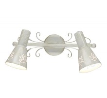 Спот Дункан CL529522 Citilux