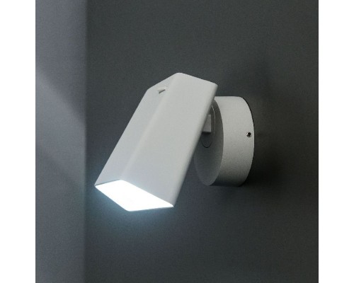 Спот Норман CL533410N Citilux