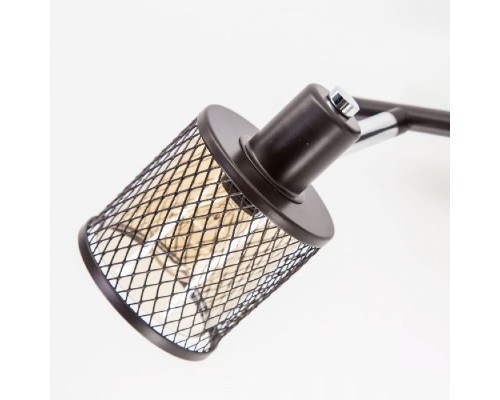 Спот Робин CL535625 Citilux