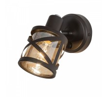 Спот Гессен CL536615 Citilux