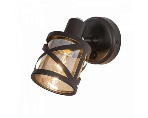 Спот Гессен CL536615 Citilux