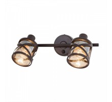 Спот Гессен CL536625 Citilux