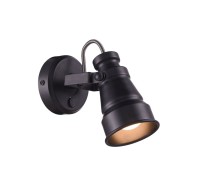 Спот Бейкер CL541511 Citilux