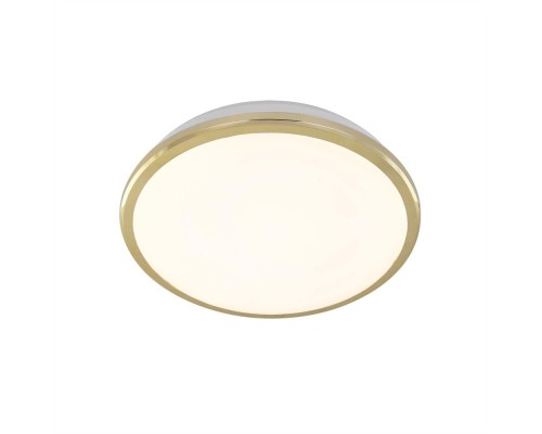 Потолочный светильник Луна CL702162W Citilux