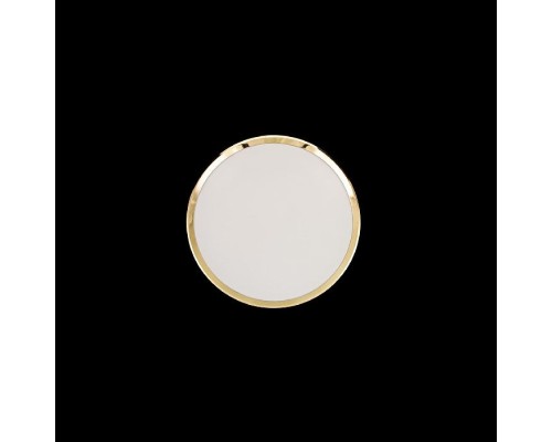 Потолочный светильник Луна CL702162W Citilux