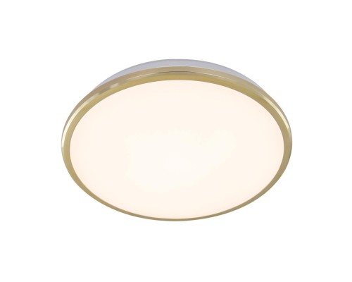 Потолочный светильник Луна CL702222W Citilux