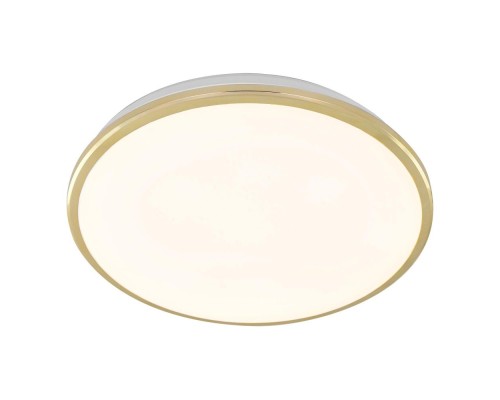 Потолочный светильник Луна CL702302W Citilux