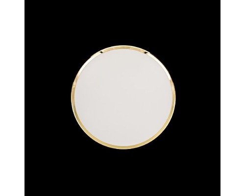 Потолочный светильник Луна CL702302W Citilux