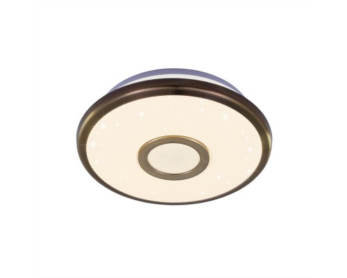 Потолочный светильник Старлайт CL70313 Citilux