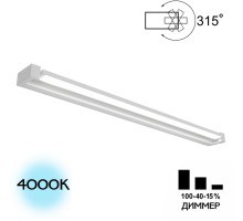 Настенный светильник Визор CL708290N Citilux