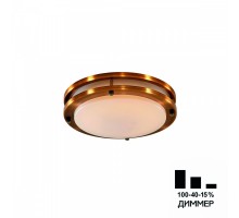 Настенно-потолочный светильник Бостон CL709203N Citilux