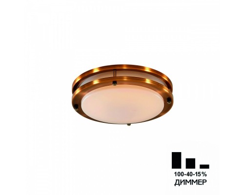 Настенно-потолочный светильник Бостон CL709203N Citilux