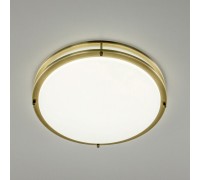 Настенно-потолочный светильник Бостон CL709503N Citilux