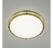 Настенно-потолочный светильник Бостон CL709503N Citilux