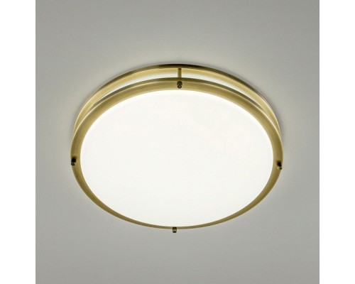 Настенно-потолочный светильник Бостон CL709503N Citilux