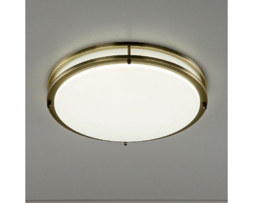 Настенно-потолочный светильник Бостон CL709503N Citilux