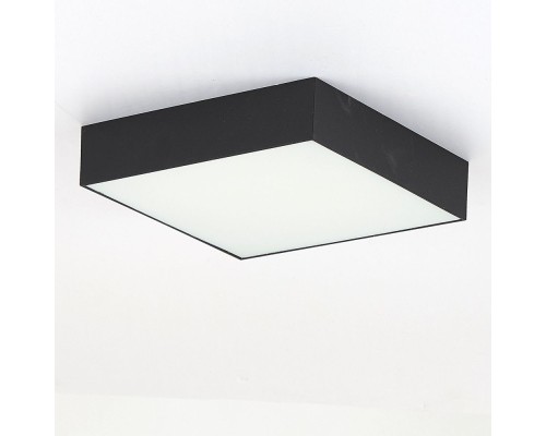 Точечный светильник Тао CL712X182N Citilux