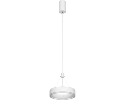 Подвесной светильник Дуэт CL719010 Citilux