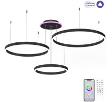 Подвесная люстра Дуэт Смарт CL719A701 Citilux