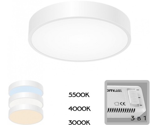 Потолочный светильник Купер CL72424V0 Citilux