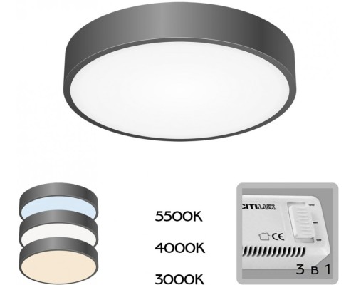 Потолочный светильник Купер CL72424V1 Citilux