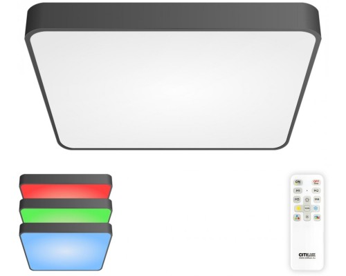 Потолочный светильник Купер CL724K95G1 Citilux
