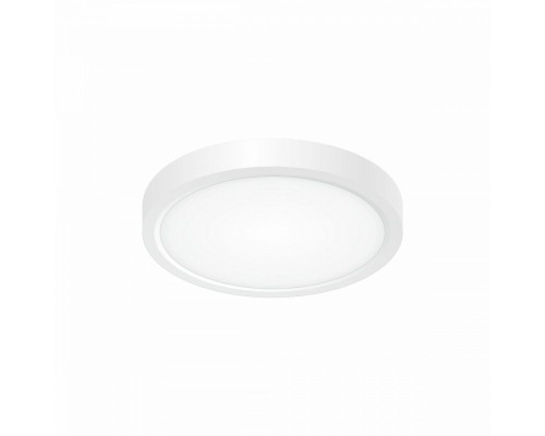 Потолочный светильник Бейсик CL738120N Citilux