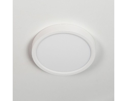 Потолочный светильник Бейсик CL738120N Citilux