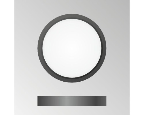 Потолочный светильник Бейсик CL738121N Citilux