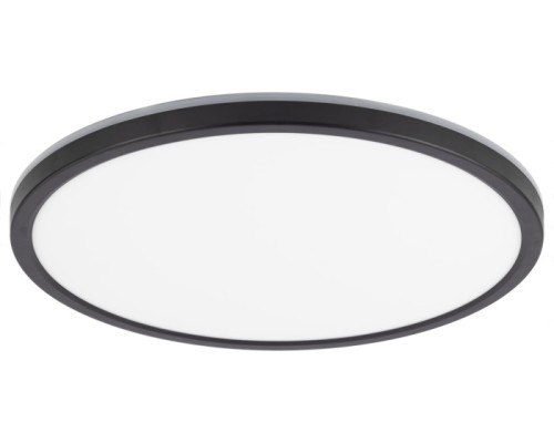 Настенно-потолочный светильник Basic Line CL738321EL Citilux