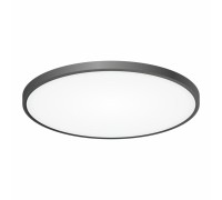 Потолочный светильник Бейсик CL738501V Citilux