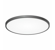 Потолочный светильник Бейсик CL738501V Citilux