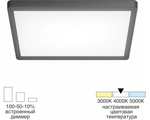 Потолочный светильник Бейсик CL738K241V Citilux