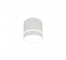 Точечный светильник Борн CL745020N Citilux