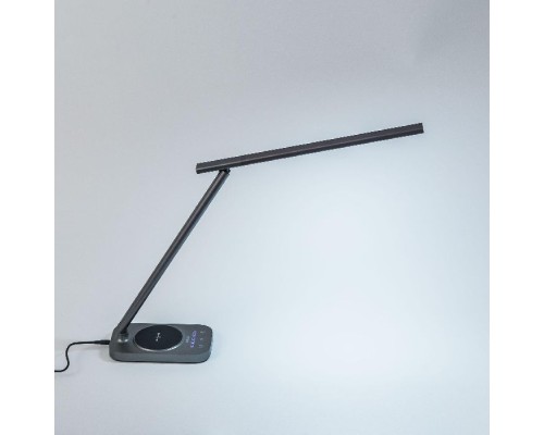 Настольная лампа Ньютон CL803052 Citilux