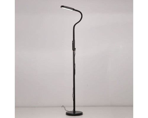 Торшер Марк CL804021 Citilux