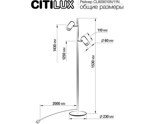 Торшер Twin CL809011N Citilux