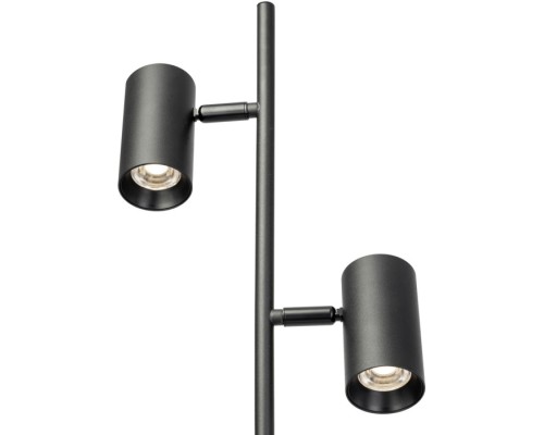 Торшер Twin CL809011N Citilux