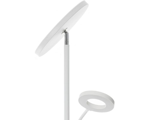 Торшер Click CL810010 Citilux