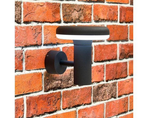 Настенный фонарь уличный CLU01W Citilux